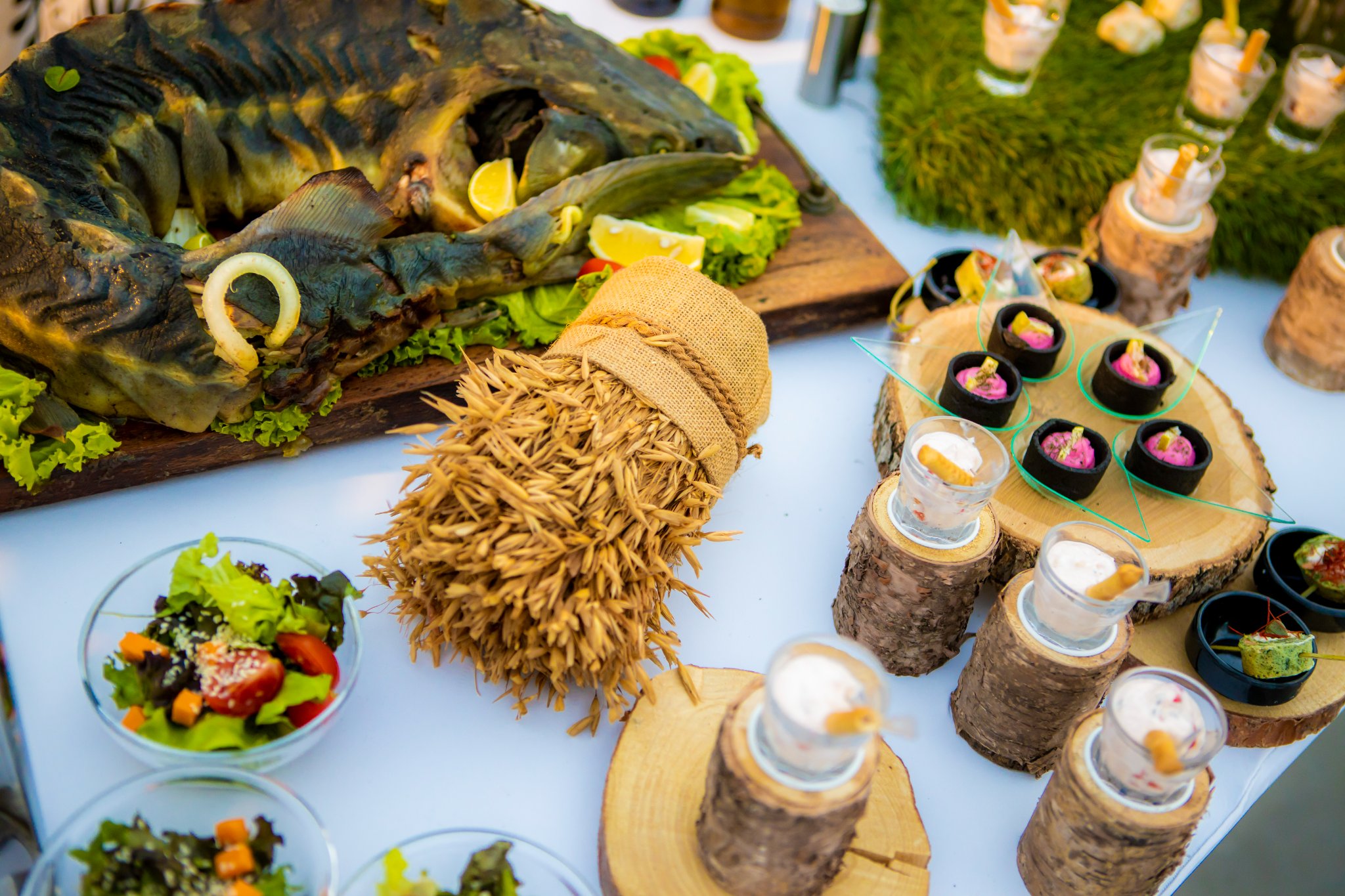 595203397_1243235381015917_9194829575978889848_n