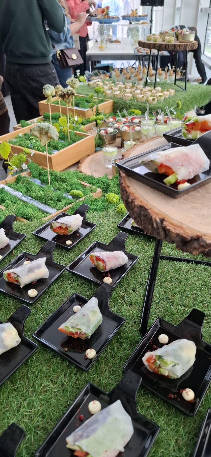 viber_изображение_2026-01-13_15-16-34-115